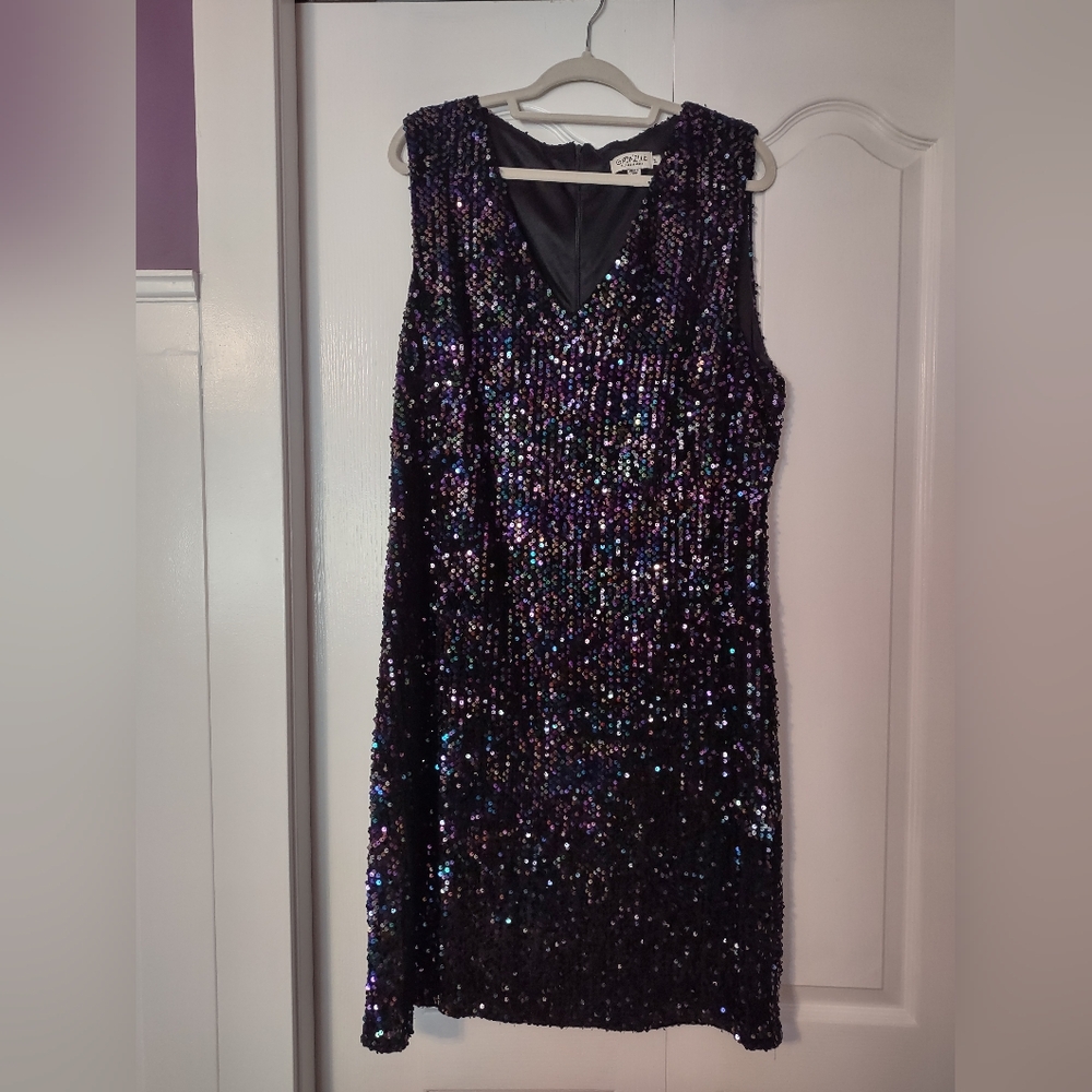 Gabrielle Molly Bracken Sequin Dress 2X